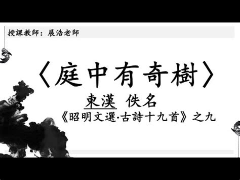 庭中有奇樹講義|古體詩選《慈烏夜啼》《庭中有奇樹》(康軒版第三冊第二課)國中。